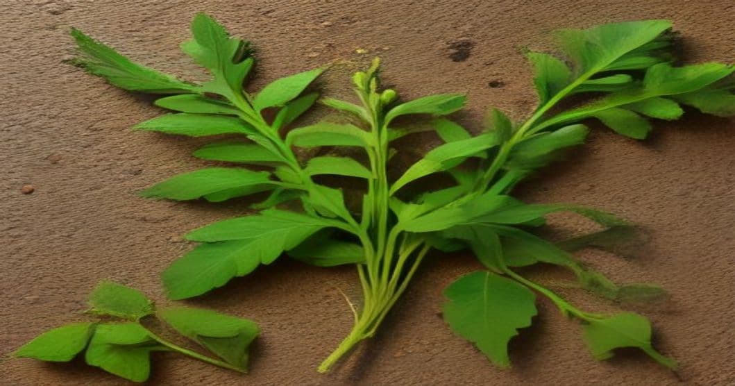 Moringa for Diabetes: What the Research and Ayurveda Both Say