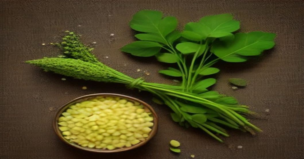 Moringa for Weight Management: Fact vs. Fad